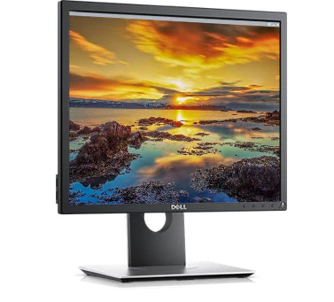 Dell 19 Monitor: P1917S